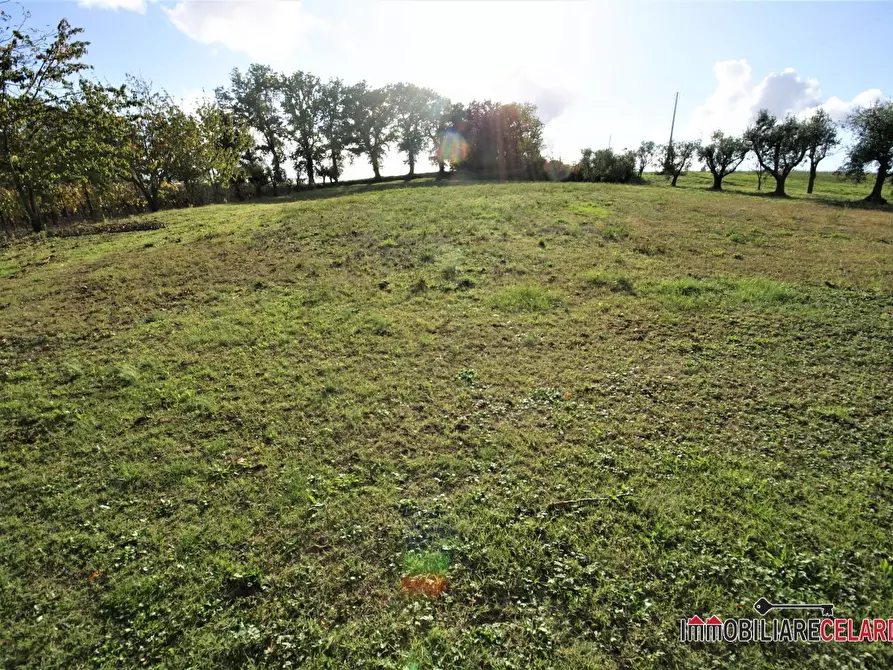 Immagine 10 di Rustico / casale in vendita  a Casole D'elsa