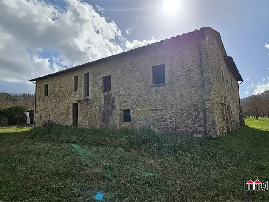 Immagine 8 di Rustico / casale in vendita  a Casole D'elsa