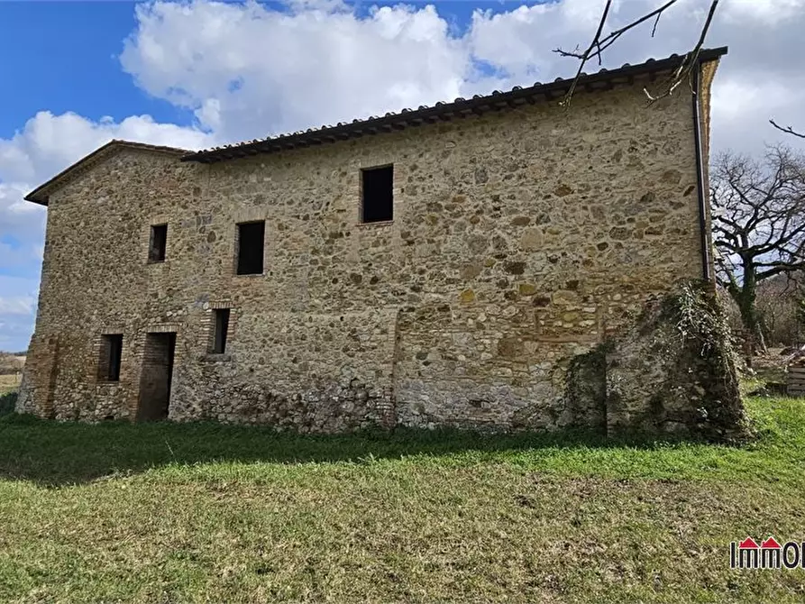 Immagine 6 di Rustico / casale in vendita  a Casole D'elsa