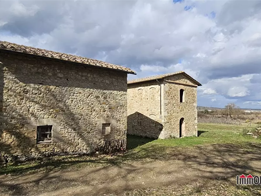 Immagine 4 di Rustico / casale in vendita  a Casole D'elsa