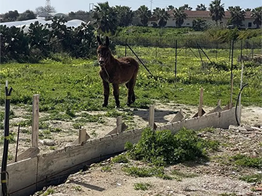 Immagine 9 di Rustico / casale in vendita  a Pachino