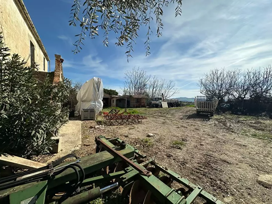 Immagine 9 di Rustico / casale in vendita  snc a Mosciano Sant'angelo
