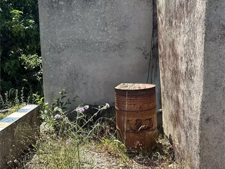 Immagine 9 di Rustico / casale in vendita  a Alcamo
