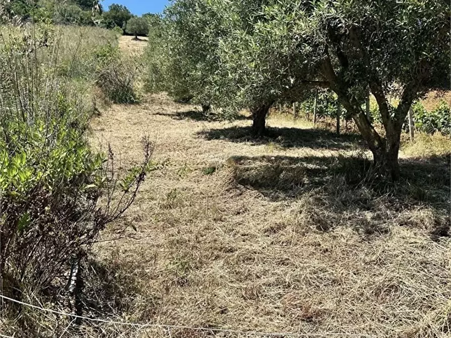 Immagine 7 di Rustico / casale in vendita  a Alcamo