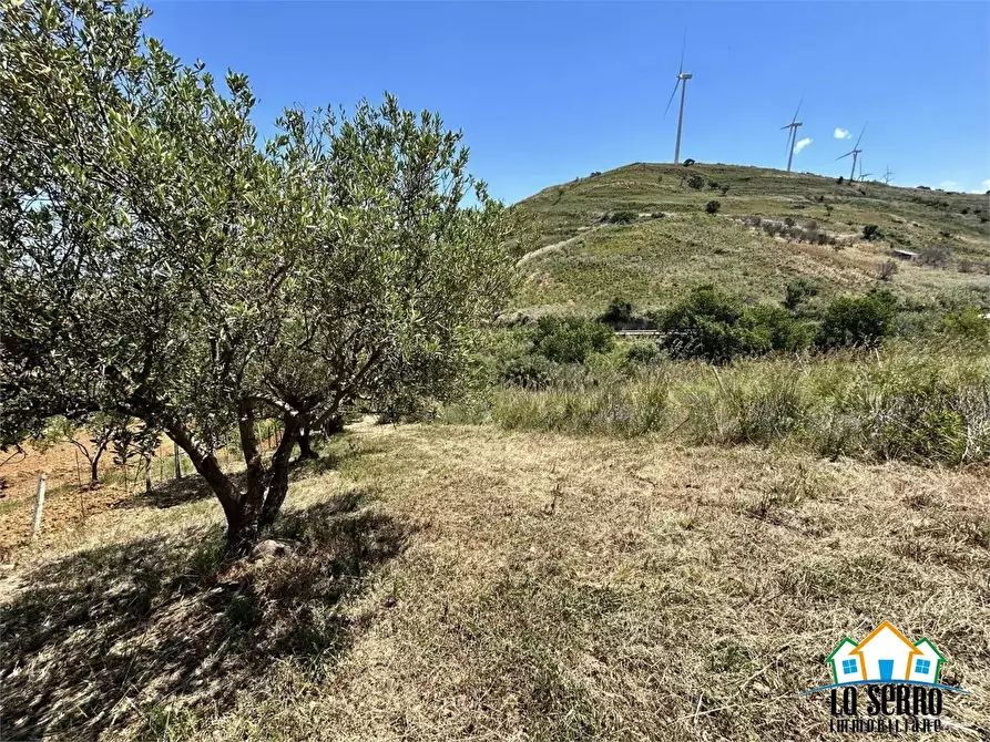 Immagine 8 di Rustico / casale in vendita  a Alcamo