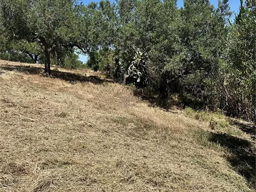 Immagine 5 di Rustico / casale in vendita  a Alcamo