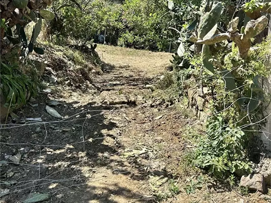 Immagine 3 di Rustico / casale in vendita  a Alcamo