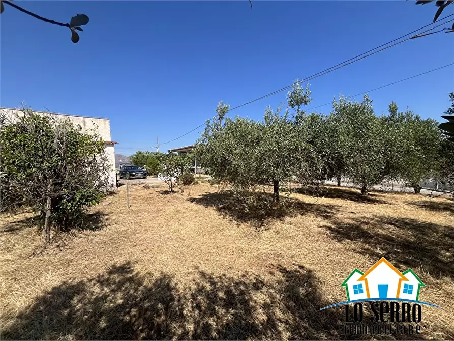 Immagine 3 di Rustico / casale in vendita  a Alcamo