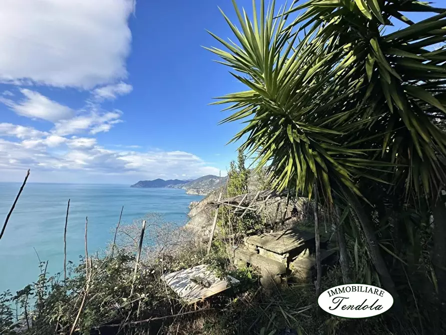 Immagine 9 di Rustico / casale in vendita  a Lerici