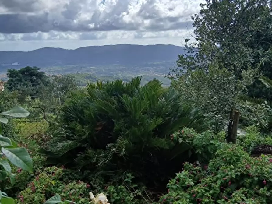 Immagine 6 di Rustico / casale in vendita  a Fosdinovo