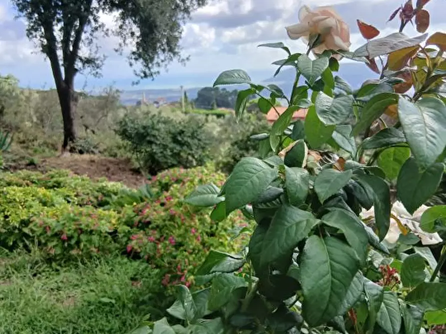Immagine 5 di Rustico / casale in vendita  a Fosdinovo