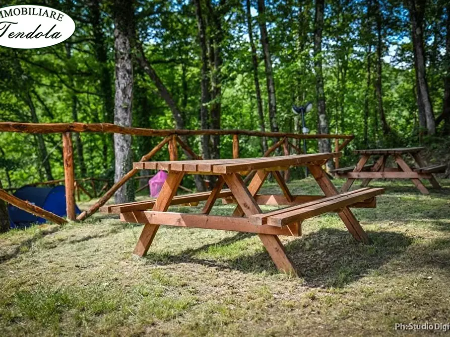 Immagine 6 di Rustico / casale in vendita  a Licciana Nardi