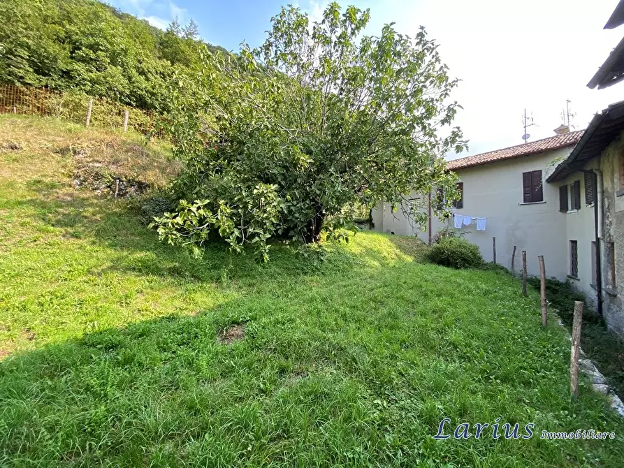 Immagine 2 di Rustico / casale in vendita  9 a Valbrona