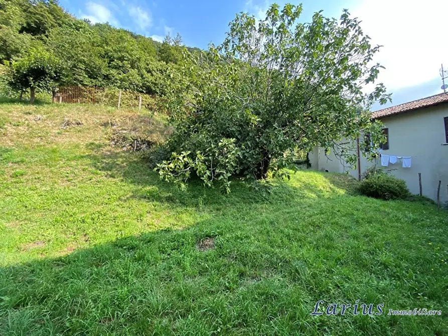 Immagine 3 di Rustico / casale in vendita  9 a Valbrona