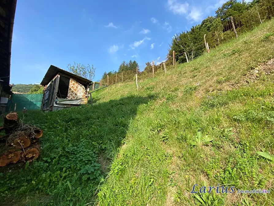 Immagine 4 di Rustico / casale in vendita  9 a Valbrona