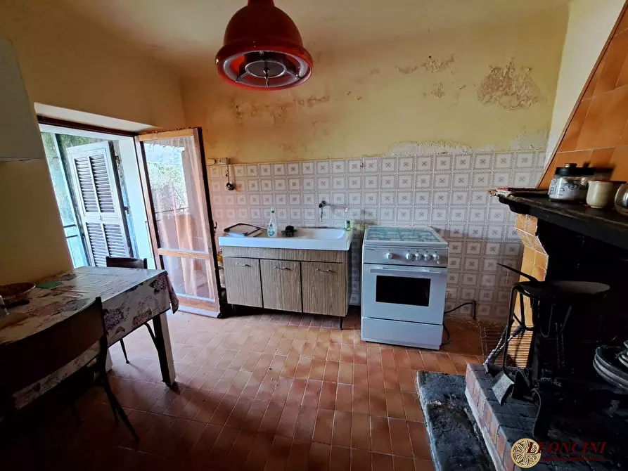 Immagine 6 di Rustico / casale in vendita  28 a Podenzana