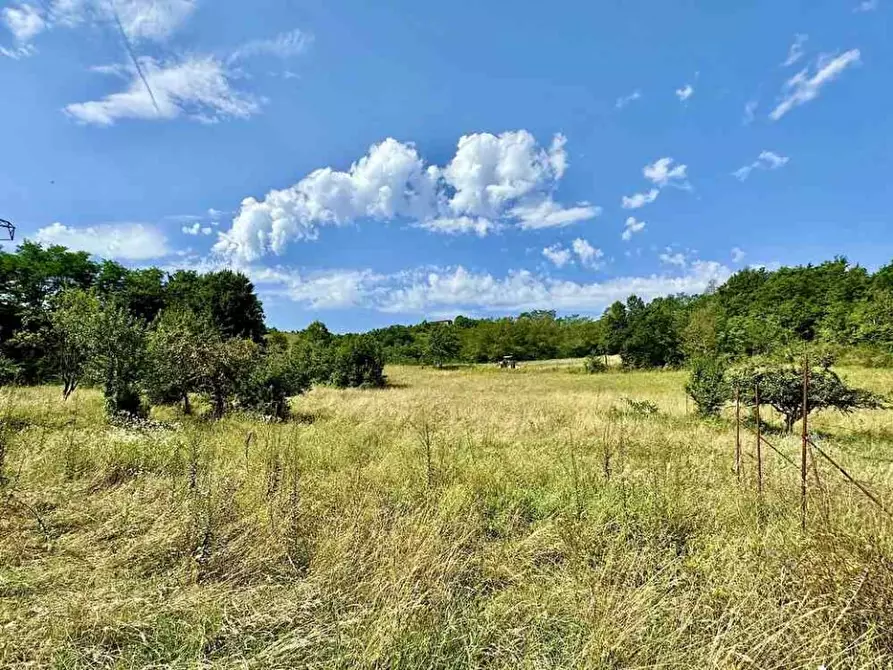 Immagine 7 di Casa semindipendente in vendita  a Castel Di Casio