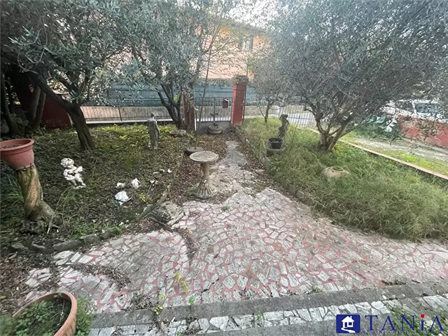 Immagine 5 di Casa semindipendente in vendita  a Pietrasanta