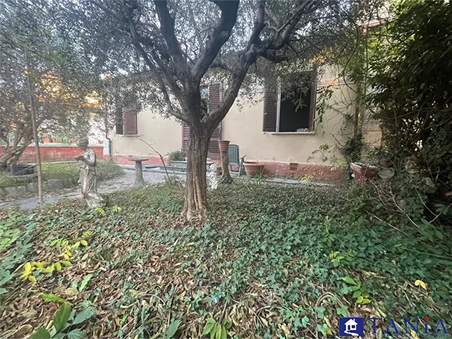 Immagine 3 di Casa semindipendente in vendita  a Pietrasanta