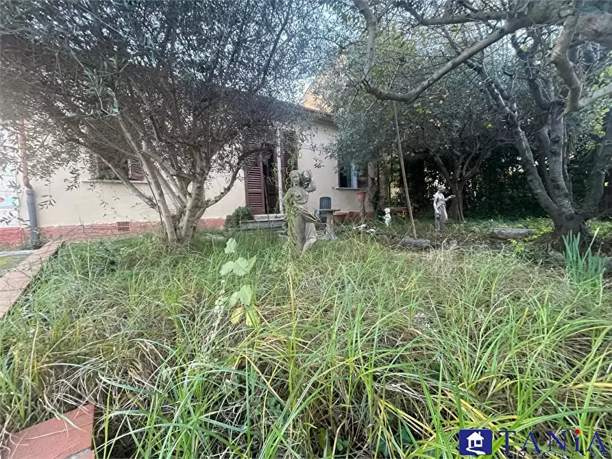 Immagine 4 di Casa semindipendente in vendita  a Pietrasanta