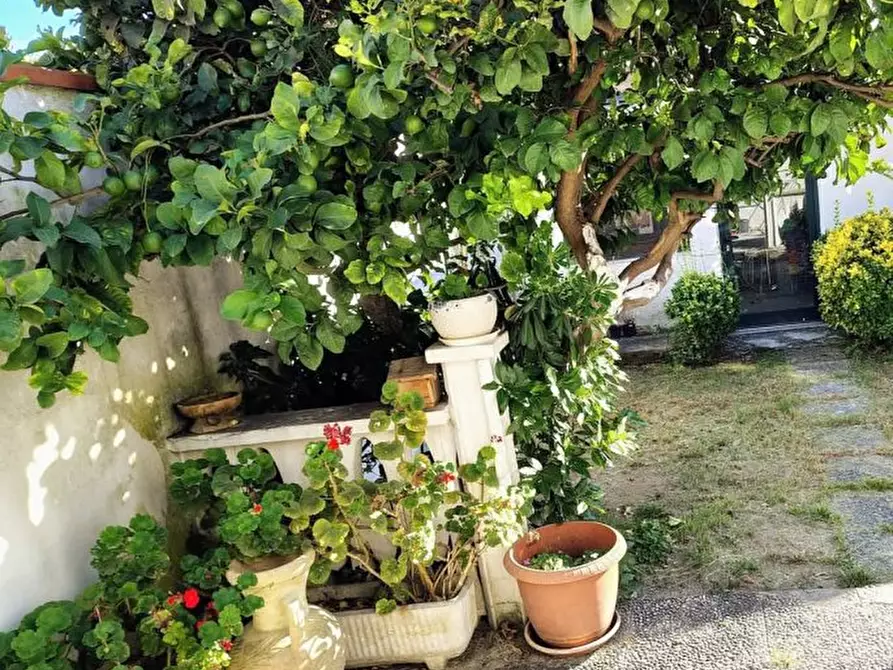 Immagine 2 di Casa semindipendente in vendita  a Carrara