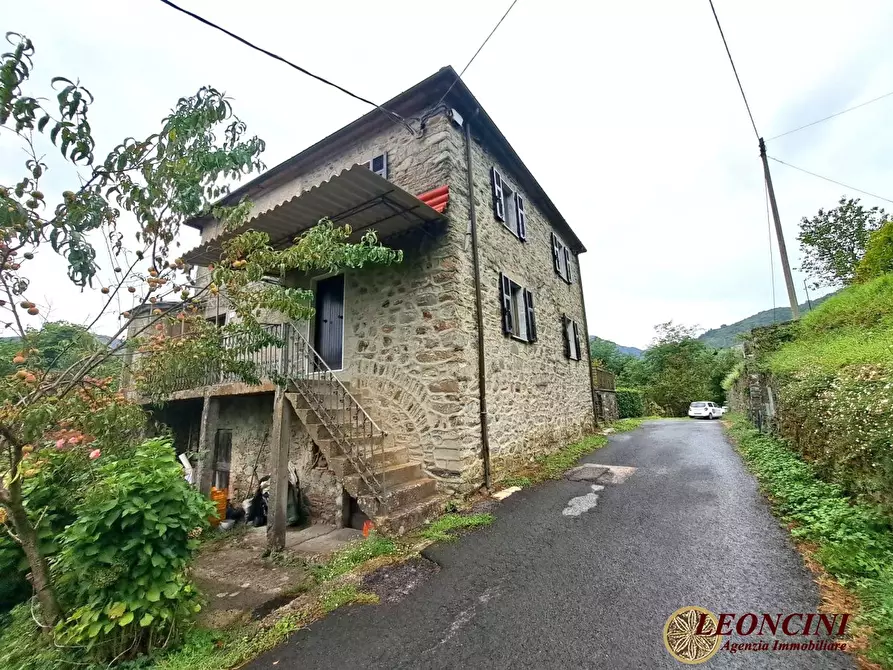 Immagine 3 di Casa semindipendente in vendita  86 a Tresana