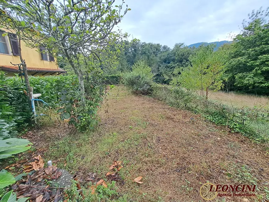 Immagine 4 di Casa semindipendente in vendita  86 a Tresana