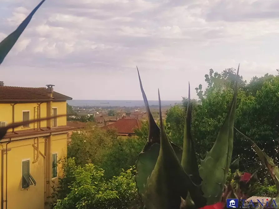 Immagine 3 di Casa semindipendente in vendita  234 a Carrara