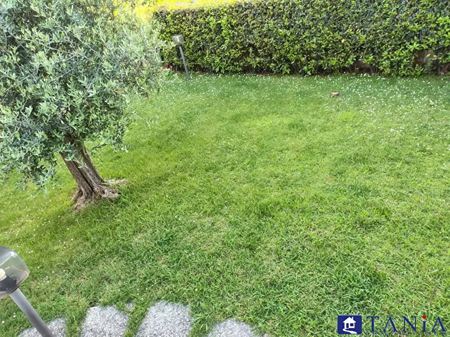 casa indipendente in vendita a Carrara in zona Avenza