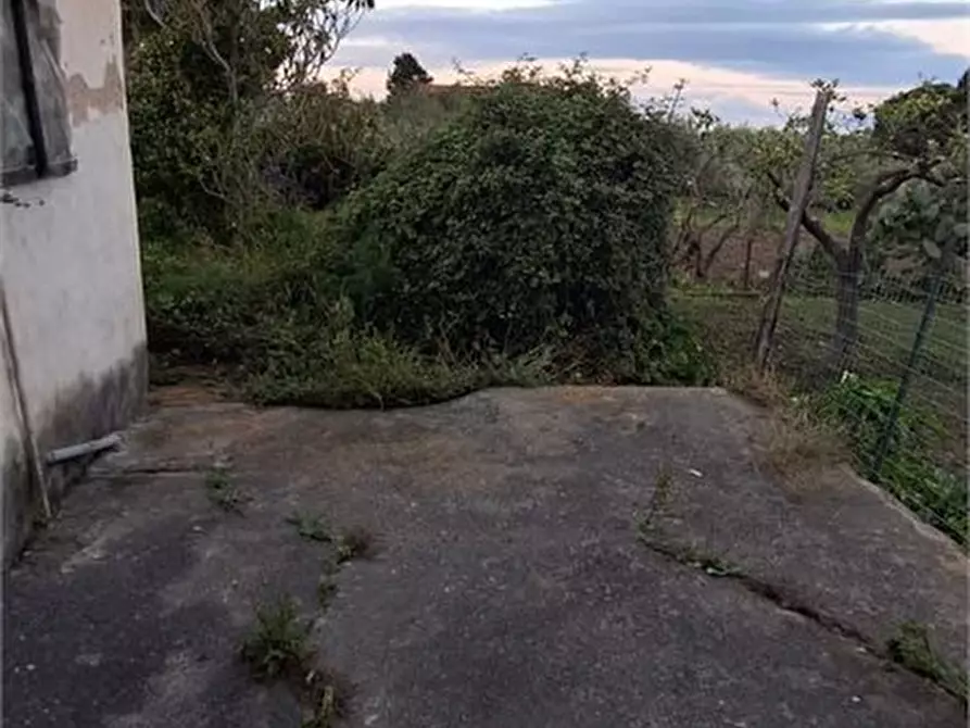 Immagine 3 di Casa semindipendente in vendita  a Messina