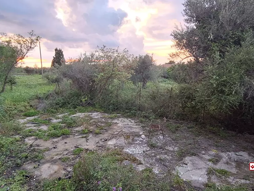 Immagine 4 di Casa semindipendente in vendita  a Messina