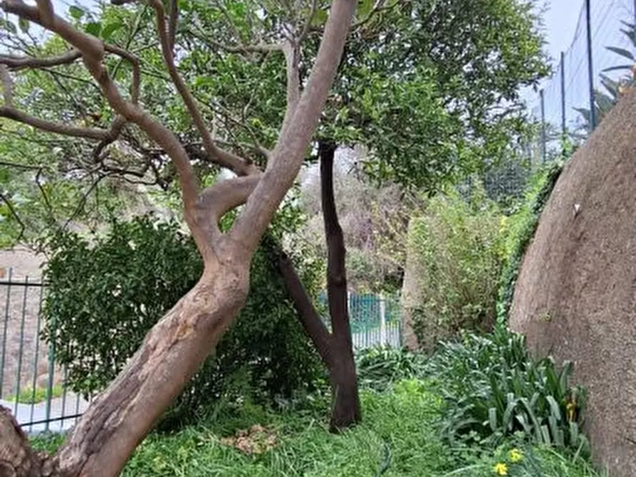 Immagine 3 di Casa semindipendente in vendita  a Messina