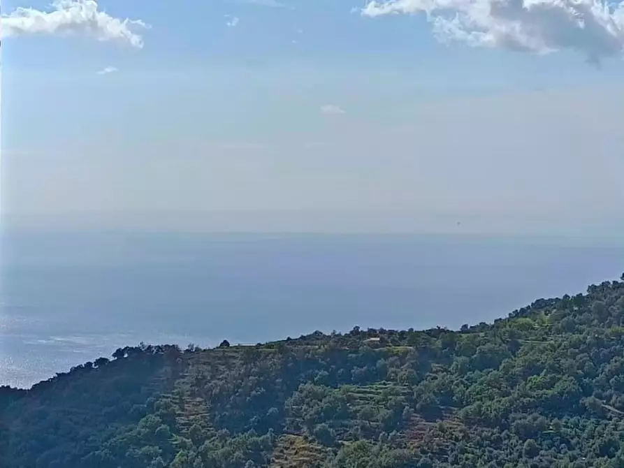 Immagine 8 di Appartamento in vendita  a Ali' Terme