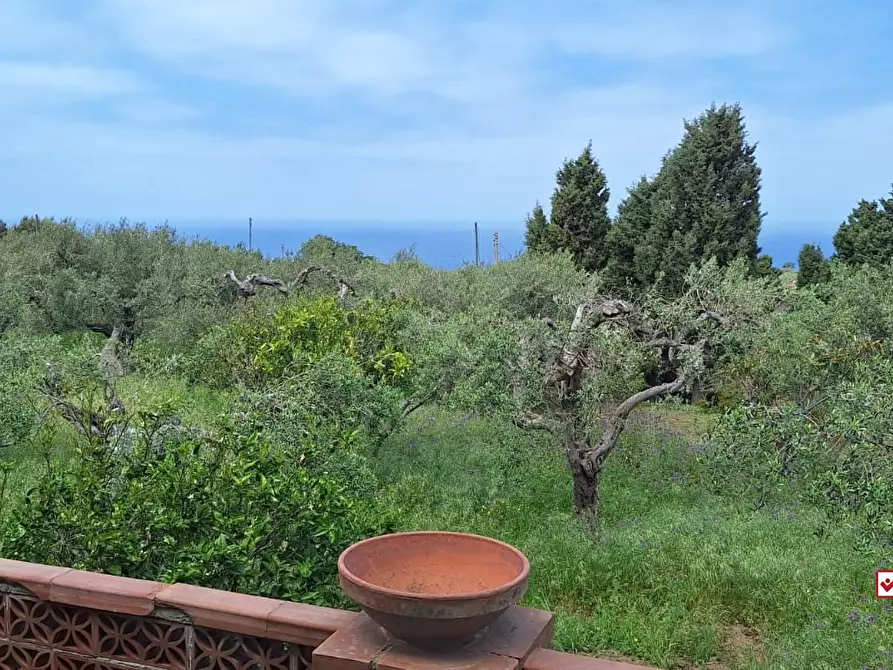 Immagine 4 di Casa semindipendente in vendita  a Messina