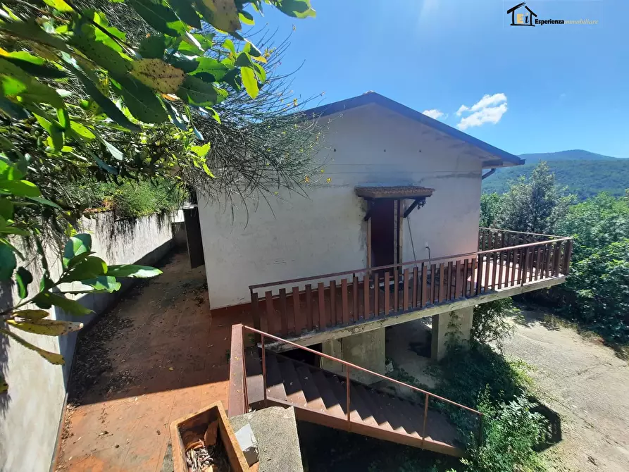 Immagine 3 di Casa semindipendente in vendita  21 a Poggio Catino