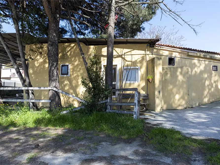 Immagine 9 di Palazzo in vendita  27 a Marano Di Napoli