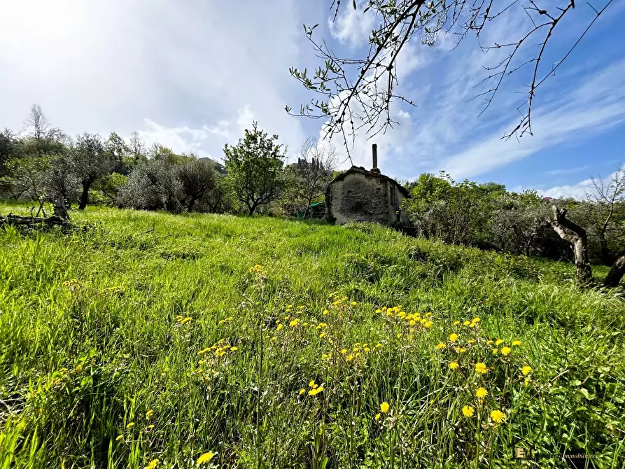 Immagine 1 di Terreno in vendita  a Montopoli Di Sabina