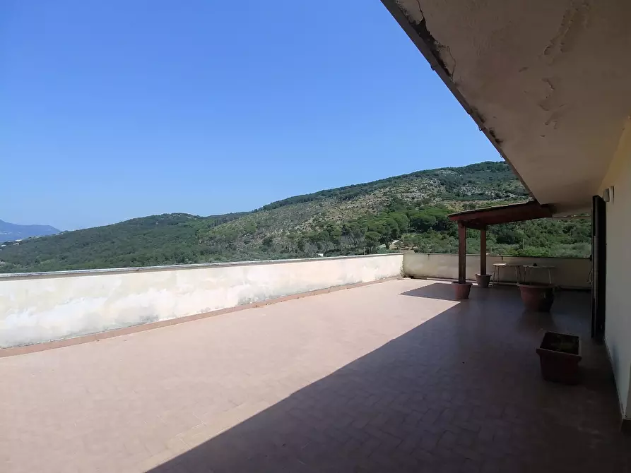 Immagine 10 di Palazzo in vendita  1308 a Santi Cosma E Damiano