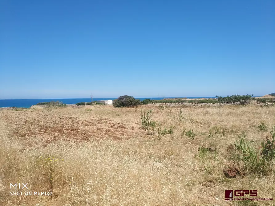 Immagine 5 di Terreno in vendita  a Polignano A Mare