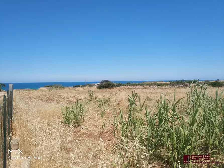 Immagine 6 di Terreno in vendita  a Polignano A Mare