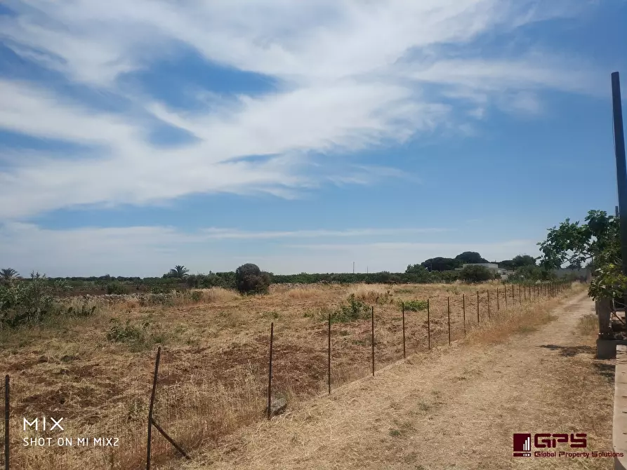 Immagine 10 di Terreno in vendita  a Polignano A Mare