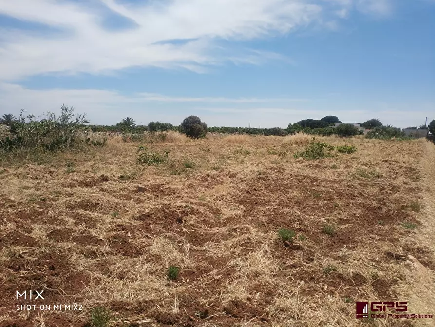 Immagine 7 di Terreno in vendita  a Polignano A Mare