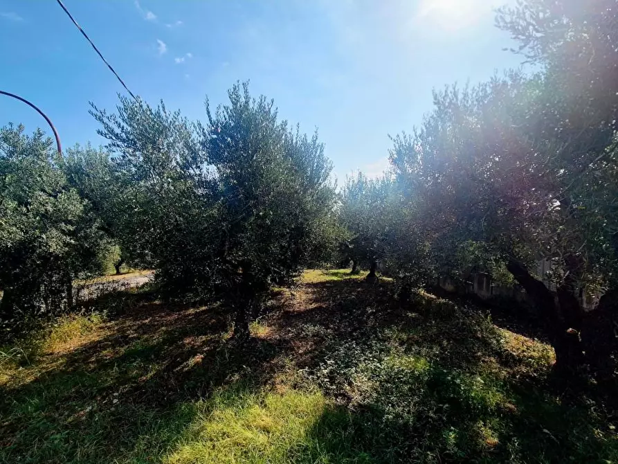 Immagine 2 di Terreno edificabile in vendita  a Torrevecchia Teatina