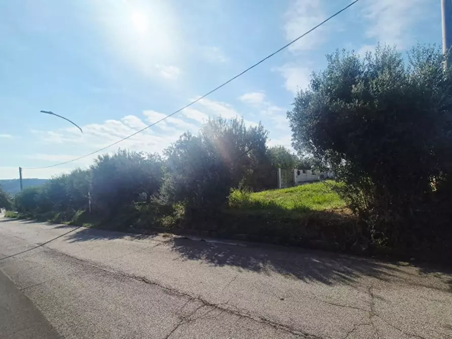 Immagine 6 di Terreno edificabile in vendita  a Torrevecchia Teatina