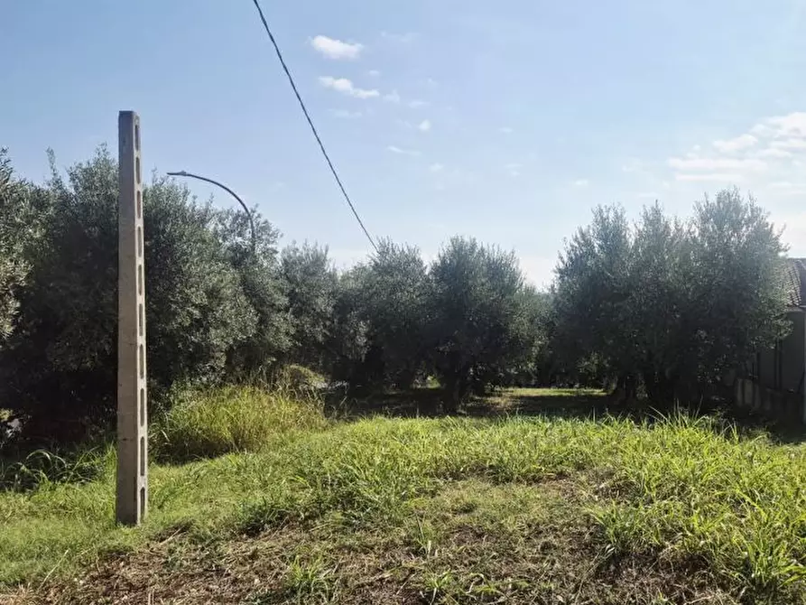Immagine 1 di Terreno edificabile in vendita  a Torrevecchia Teatina