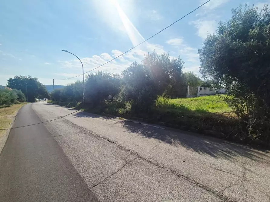Immagine 8 di Terreno edificabile in vendita  a Torrevecchia Teatina