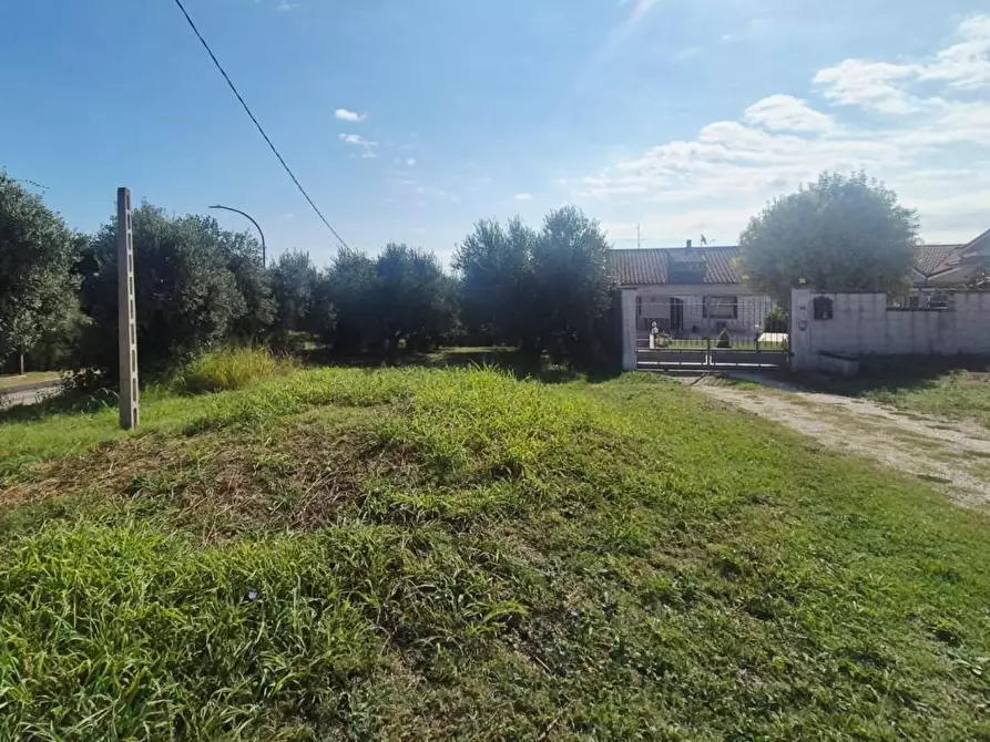 Immagine 5 di Terreno edificabile in vendita  a Torrevecchia Teatina