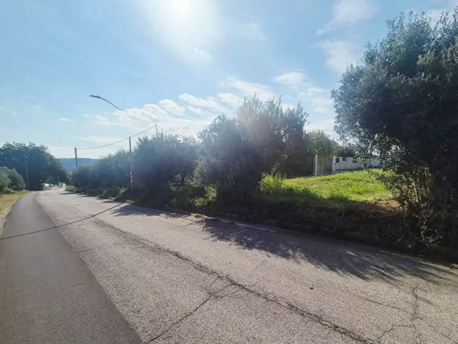 Immagine 9 di Terreno edificabile in vendita  a Torrevecchia Teatina
