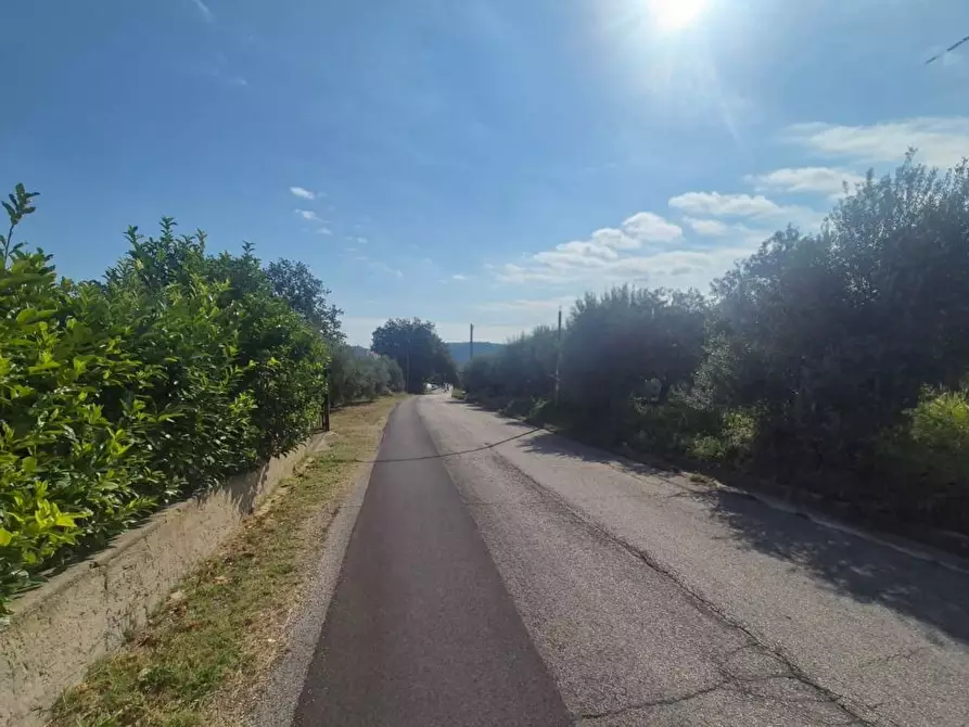 Immagine 7 di Terreno edificabile in vendita  a Torrevecchia Teatina