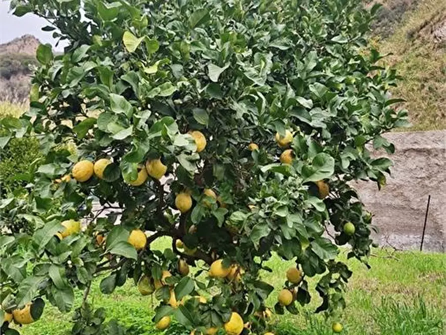 Immagine 1 di Terreno in vendita  a Messina
